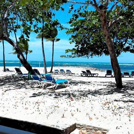 Beachfront Apt With Seaview Dining Patio Lejlighed Puerto Plata Eksteriør billede