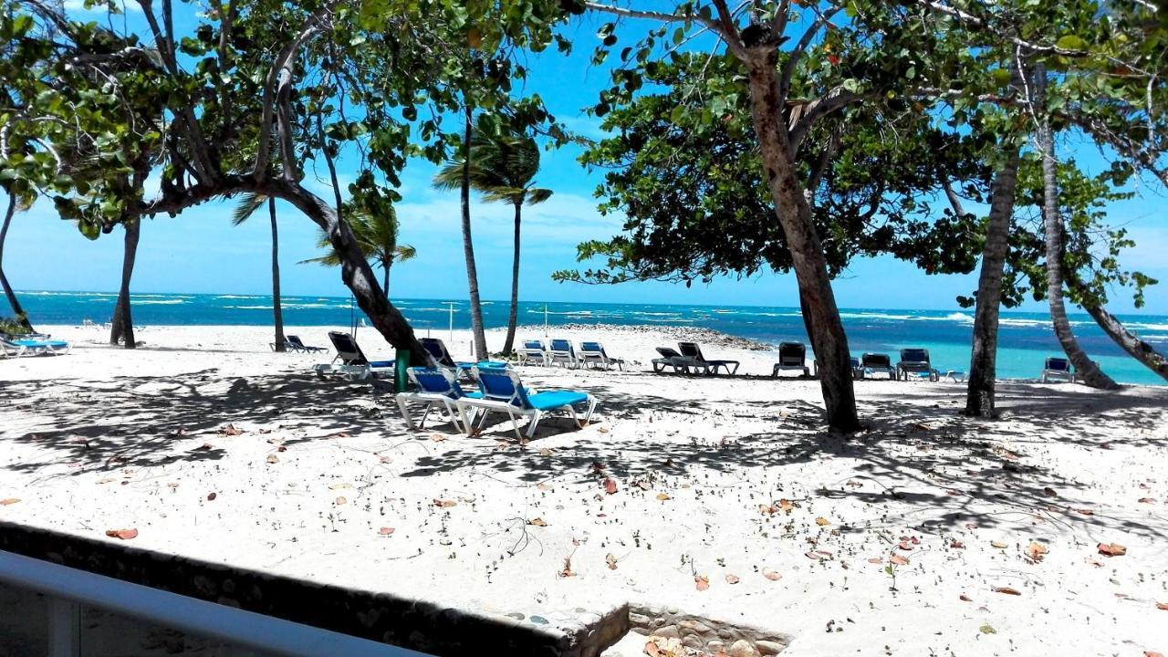 Beachfront Apt With Seaview Dining Patio Lejlighed Puerto Plata Eksteriør billede