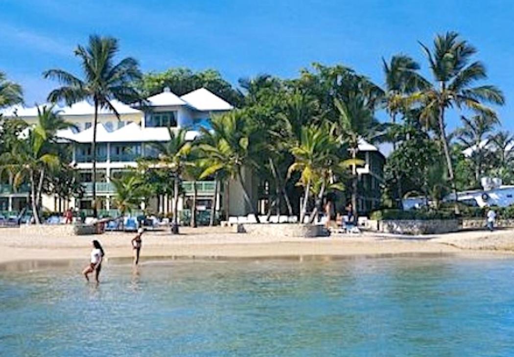 Beachfront Apt With Seaview Dining Patio Lejlighed Puerto Plata Eksteriør billede